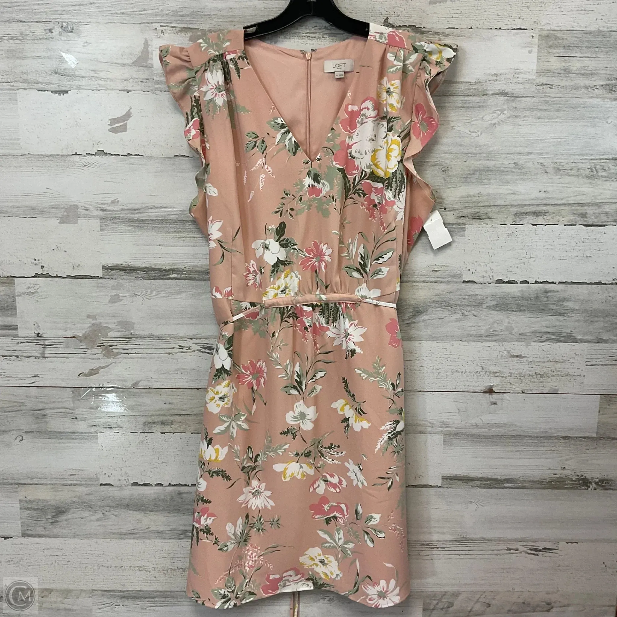 Dress Casual Short By Loft In Peach, Size: Xl