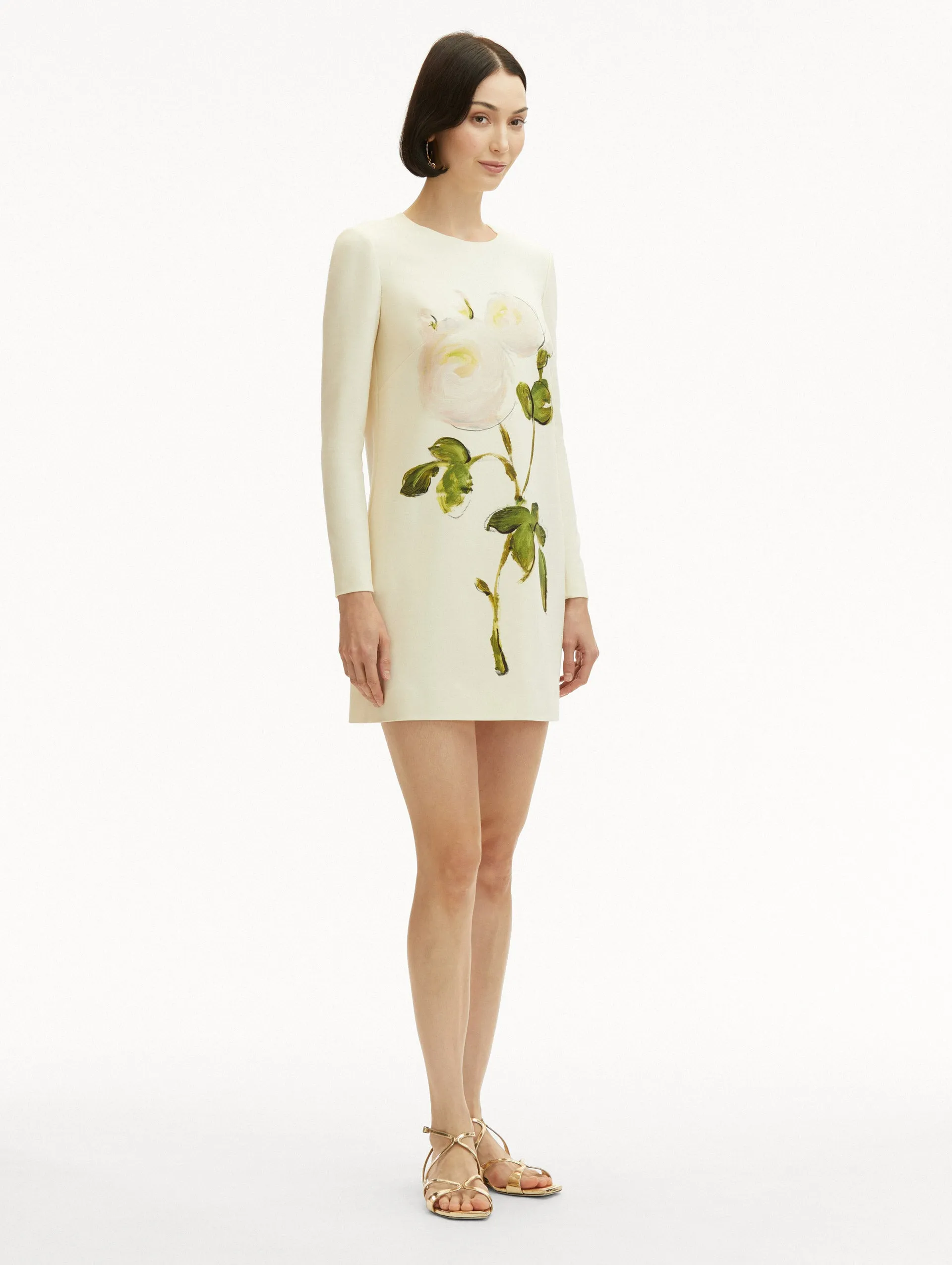 Painted Roses Shift Dress